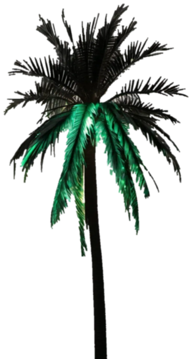 Stylised palm — the Pindorama mark